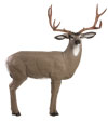 Delta Elite Mule Deer 3-D Archery Target - ( Replaceable Vital available )  - call 877.267.3877