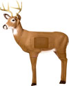 Delta Broadhead Buck 3-D Archery Target with "Encapsulated Layered Core" Vital  for Deer Hunters and Ornaments - call 877.267.3877