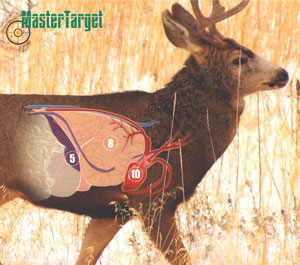 Mule Deer Waterproof & Tear-Resistant Long Lasting Target by Master Targets