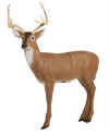 McKENZIE HD MEDIUM DEER TARGET