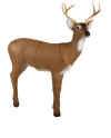 McKENZIE NATRA-LOOK MEDIUM ALERT DEER TARGET