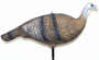 Delta Supreme Collapsible Hot Hen Decoy for Turkey Hunters
