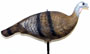 Delta Supreme Collapsible Hot Hen Decoy for Turkey Hunters