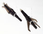 Rocky Mountain Assassin Broadheads-100 Grain