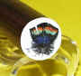 Close-Up of Turkey Breast Feather Scrimshaw Art