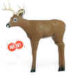 Delta Intruder 3-D Archery Target for Deer Hunters and Ornaments - call 877.267.3877