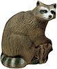 Delta Raccoon 3-D ArcheryTarget for Hunters and Ornaments - call 877.267.3877