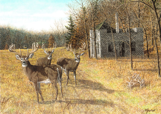 Larry Anderson Wildlife Art- Glcee on Cnavas Wildlife Art - S&N limited ...