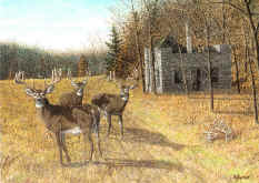 G'Cl'ee - "Stone House Bucks" by Wildlife Artist Larry Anderson