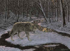G'Cl'ee - "Winter Wolf" by Wildlife Artist Larry Anderson