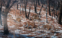 "Buck Fever" by Larry Anderson