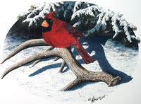 "Cardinal" by Larry Anderson