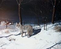 "Daybreak Coyote" by Larry Anderson