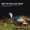 Dr. Lovett E. Williams Jr Real Turkey DVD - "Meet the Ocellated Turkey"