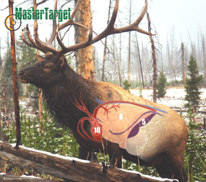 Elk Waterproof & Tear-Resistant Long Lasting Target by Master Targets