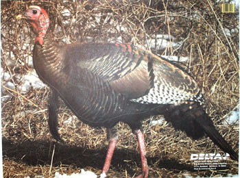 Delta Tru-Life Turkey Target