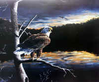 "Daybreak Eagle" by Larry Anderson