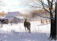 "Rural Heritage - Whitetails" by Larry Anderson
